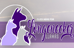 Longenecker Llamas