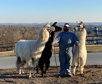 Lonnecker Showstock