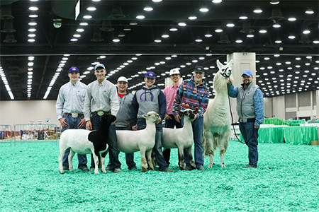 Lonnecker Showstock
